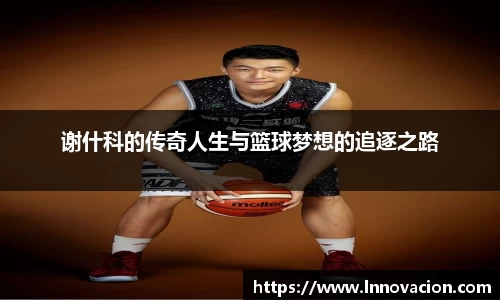 谢什科的传奇人生与篮球梦想的追逐之路